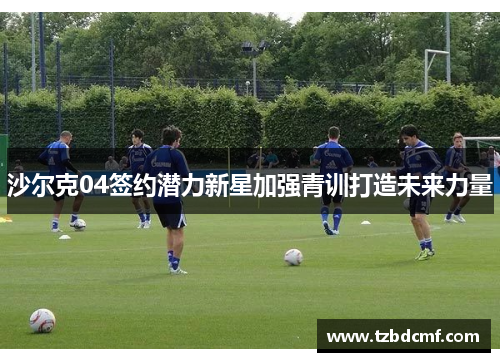 沙尔克04签约潜力新星加强青训打造未来力量